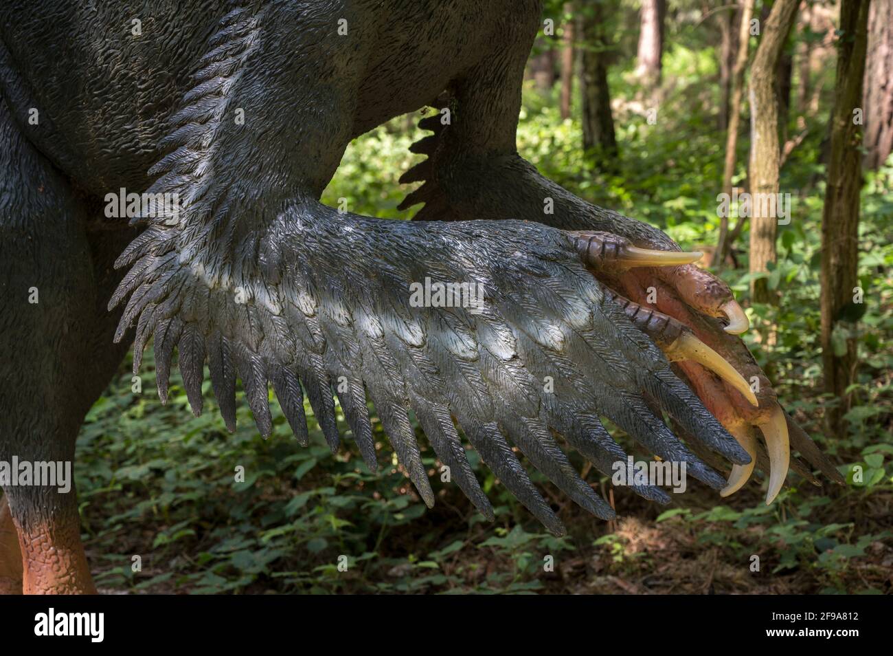 Dinosaurio Utahrraptor (similar al Velociraptor) como modelo en Dinopark Münchehagen cerca de Hanover. Tenía unos 7 m de largo, pesaba 500 kg y vivía hace unos 130 millones de años (Cretácico) en América del Norte. Es muy probable que tuviera un plumaje. La larga garra de la hoz en el pie trasero es típica de dinosaurios depredadores como el Utahraptor. Foto de stock