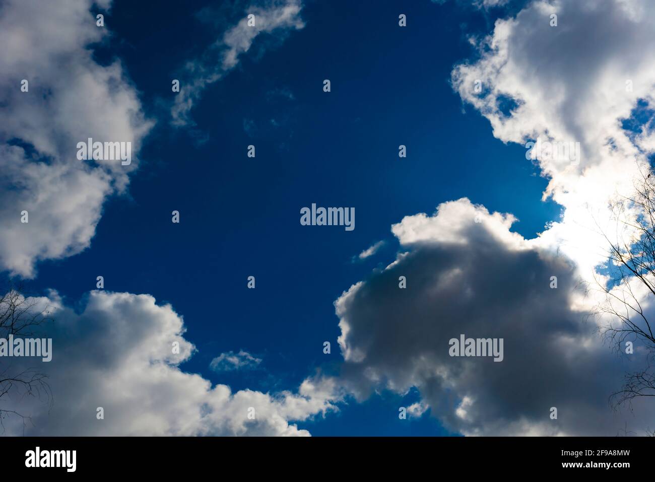 Nubes de lluvia en el cielo en Alemania en invierno, nubes blancas grises, en el cielo azul medio, en el borde ramas sin hojas de árboles Foto de stock