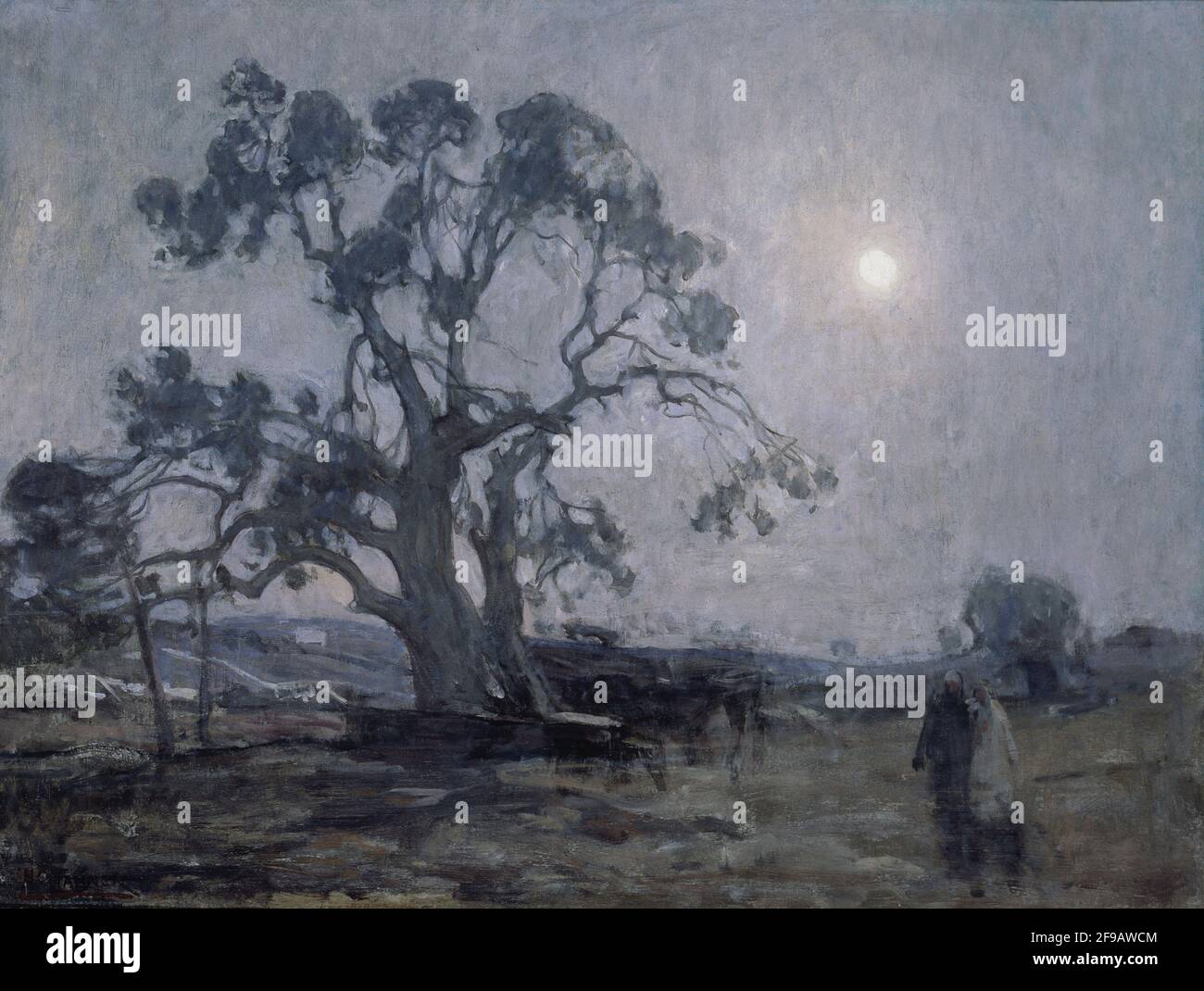árboles de mamre fotografías e imágenes de alta resolución - Alamy