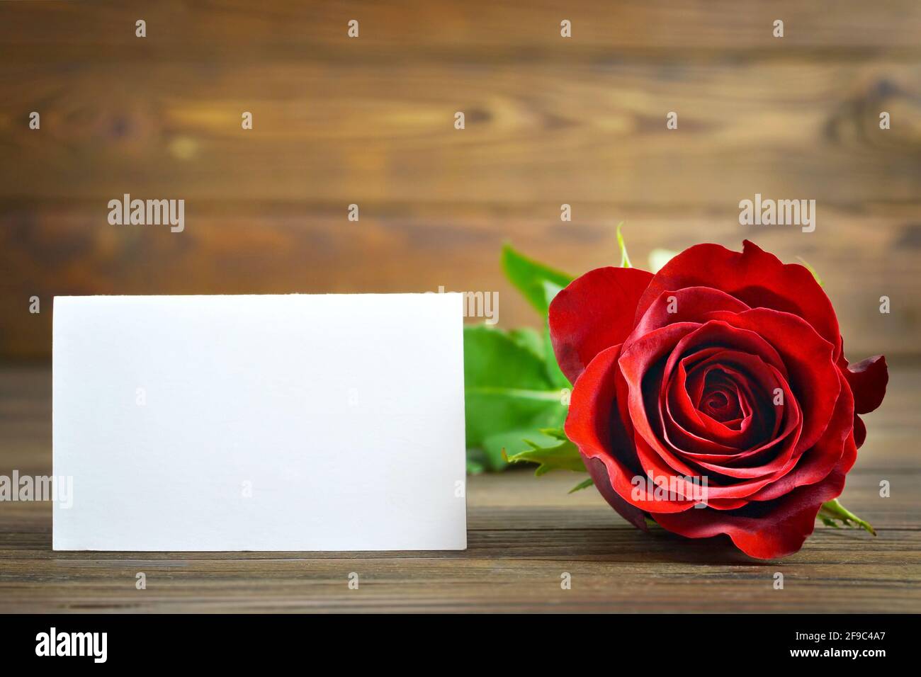 Rosa roja y tarjeta de felicitación en blanco sobre fondo de madera Foto de stock