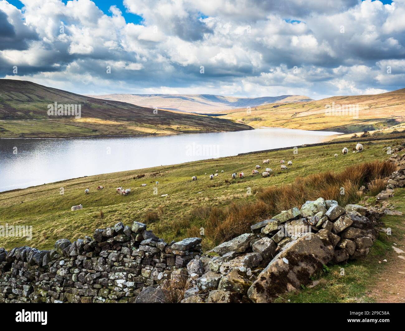 Depósito de Scar House en los valles de Yorkshire, con ovejas, montañas y una pared de piedra seca con nubes ondulantes Foto de stock
