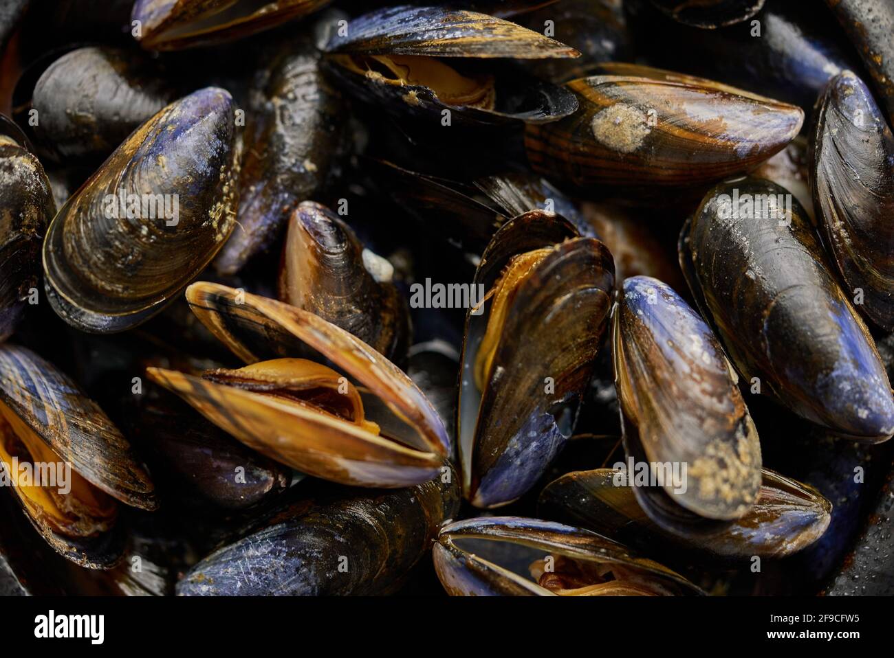 Primeros planos de mejillones de mar frescos y crudos recipiente de cerámica negro colocado en la oscuridad Foto de stock