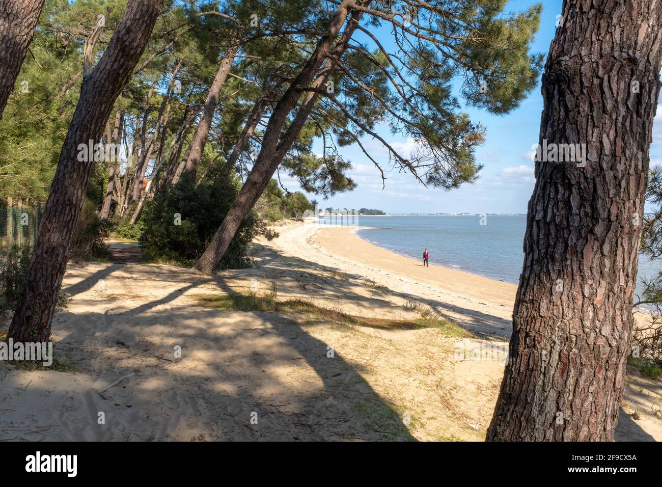 Saint-Trojan-les-Bains, Francia - 26 de febrero de 2020: Una persona que lleva ropa roja camina en una playa con aguas tranquilas frente al continente un soleado Foto de stock