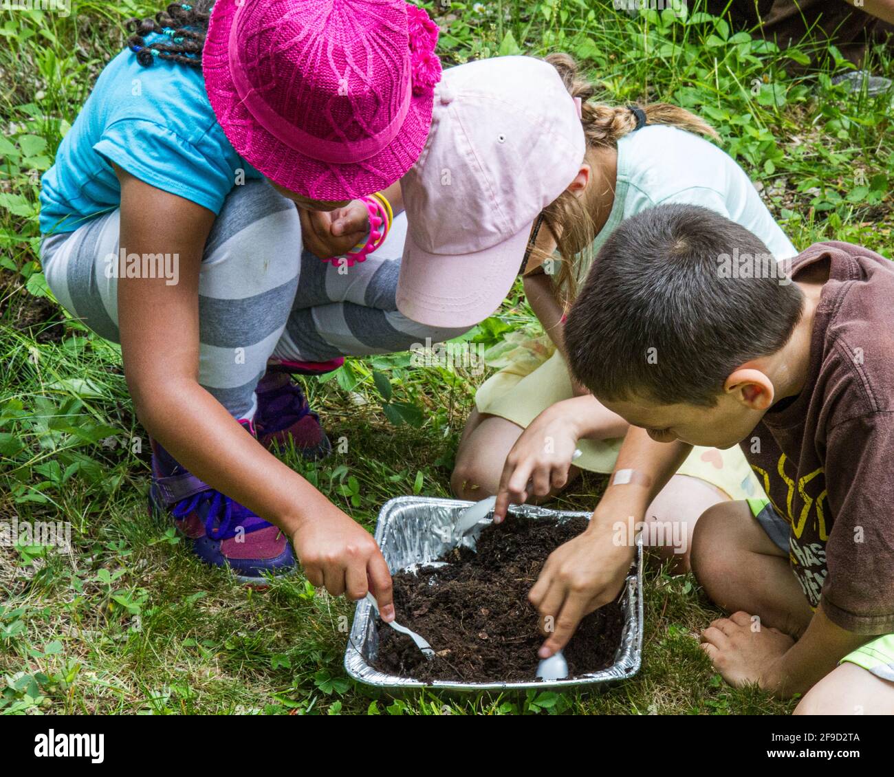 Niños aprendiendo sobre la naturaleza con un naturalista capacitado Foto de stock