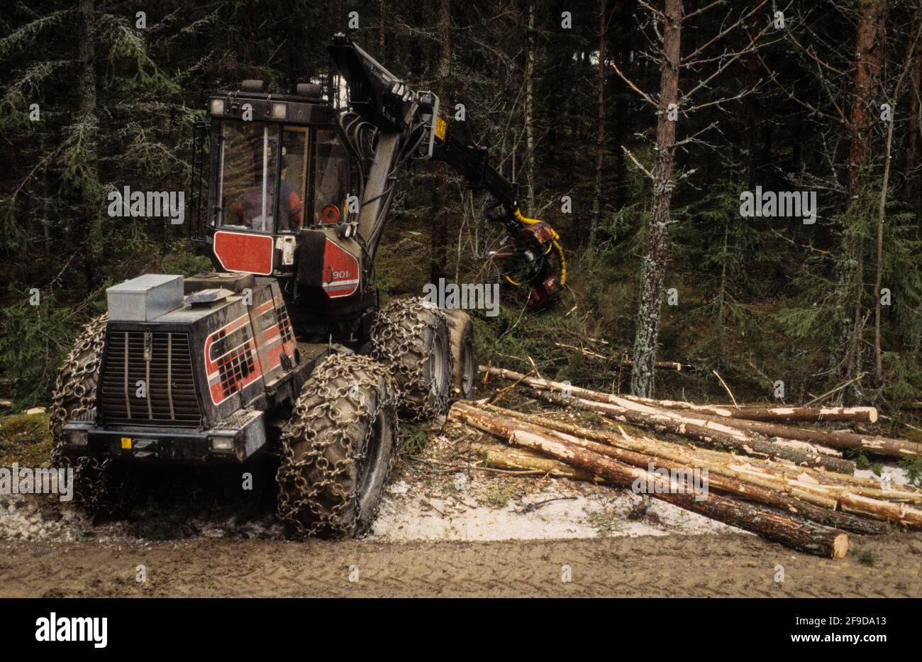 Ein Holzvollerlter fällt Bäume für eine Papierfabrik in der schwedischen Region Falun - una cosechadora forestal que corta árboles para una fábrica de papel en la región de Falun en Suecia. Foto de stock