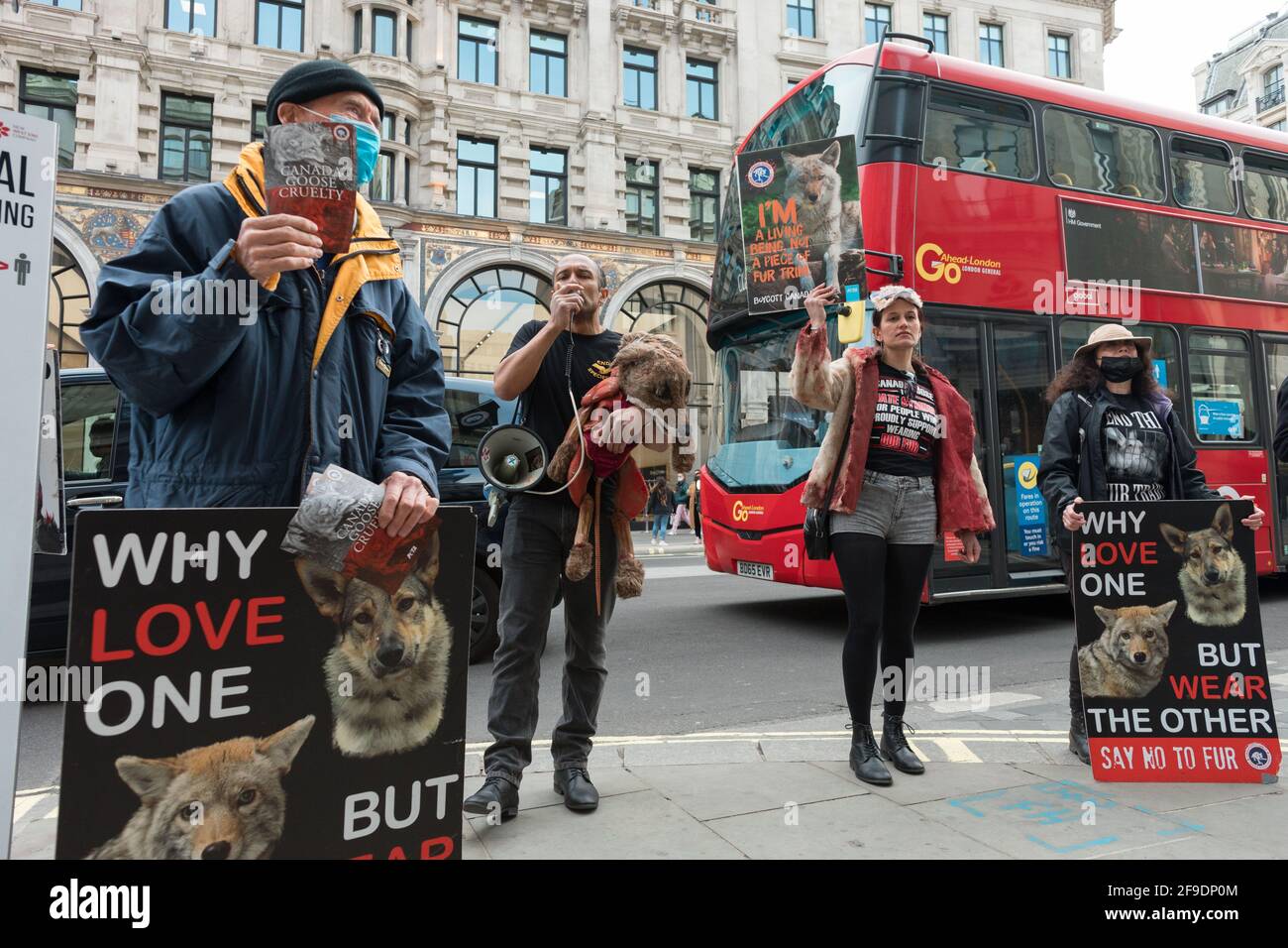 Un activista habla a través de un megáfono mientras sus colegas vieron llevar pancartas expresando su opinión durante la manifestación.Los activistas de la crueldad animal Peta UK (Gente por el Tratamiento Ético de los Animales) protestan contra el trato inhumano de los coyotes por el ganso canadiense, Fuera de Canadá tienda de gansos en Piccadilly Circus mostrando infografías detallando la crueldad animal que ocurre en la industria de la moda. (Foto de Belinda Jiao / SOPA Images/Sipa USA) Foto de stock