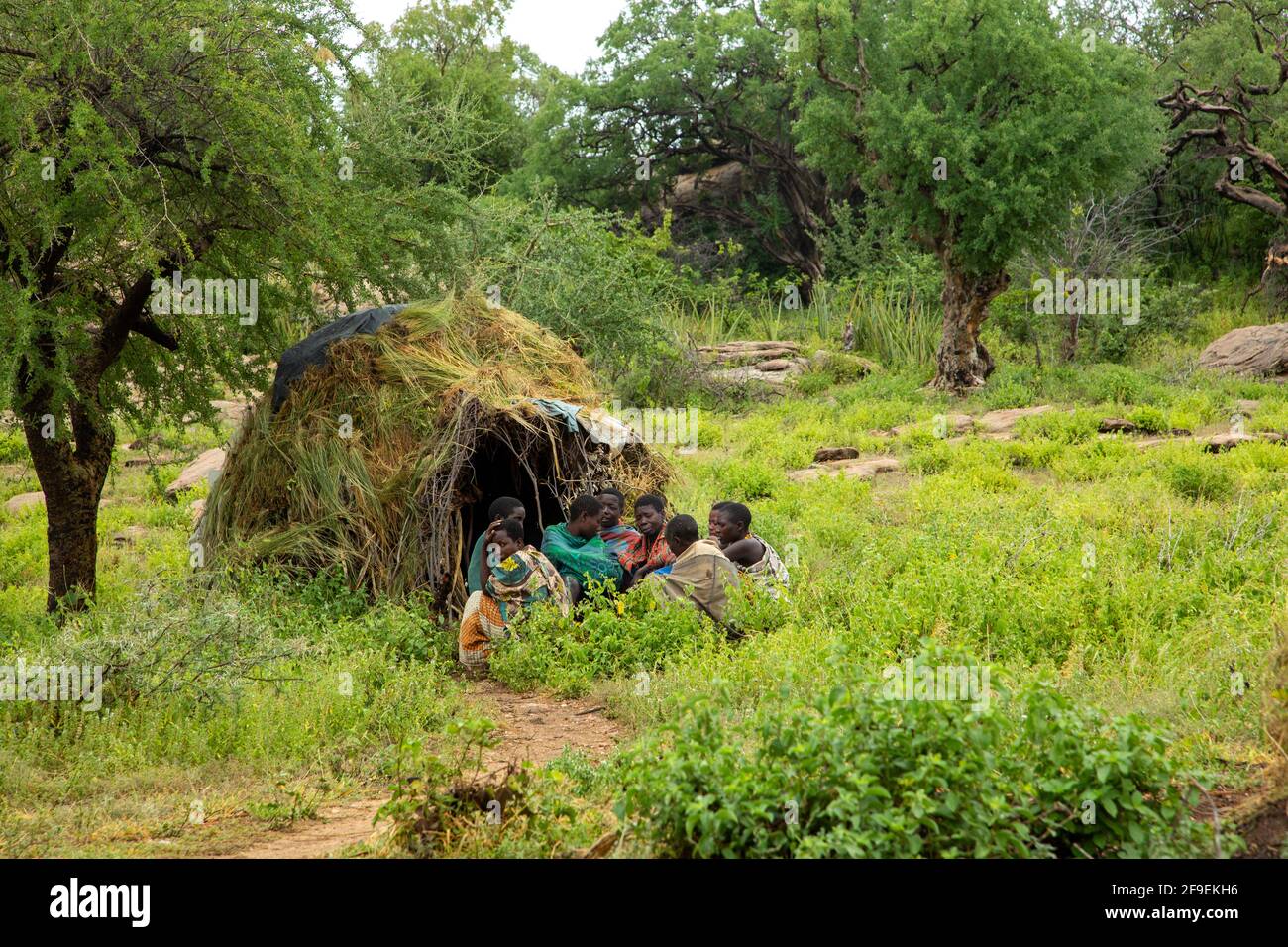 Cabañas de paja paja en una aldea de la tribu Hadza, lago Eyasi, Tanzania Foto de stock