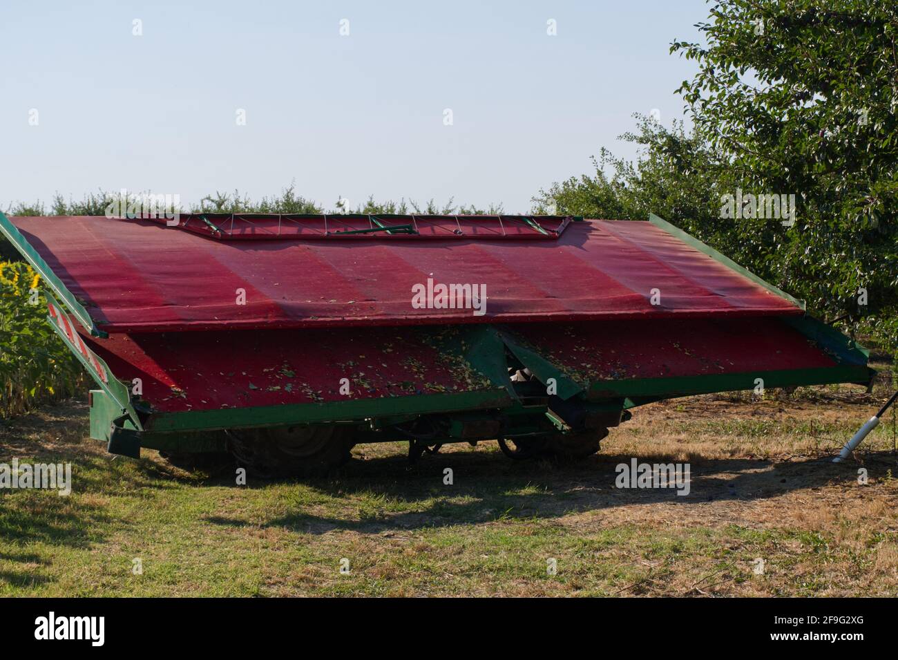 Cosechadora de ciruelas con agitador de árboles y recolector Fotografía de  stock - Alamy