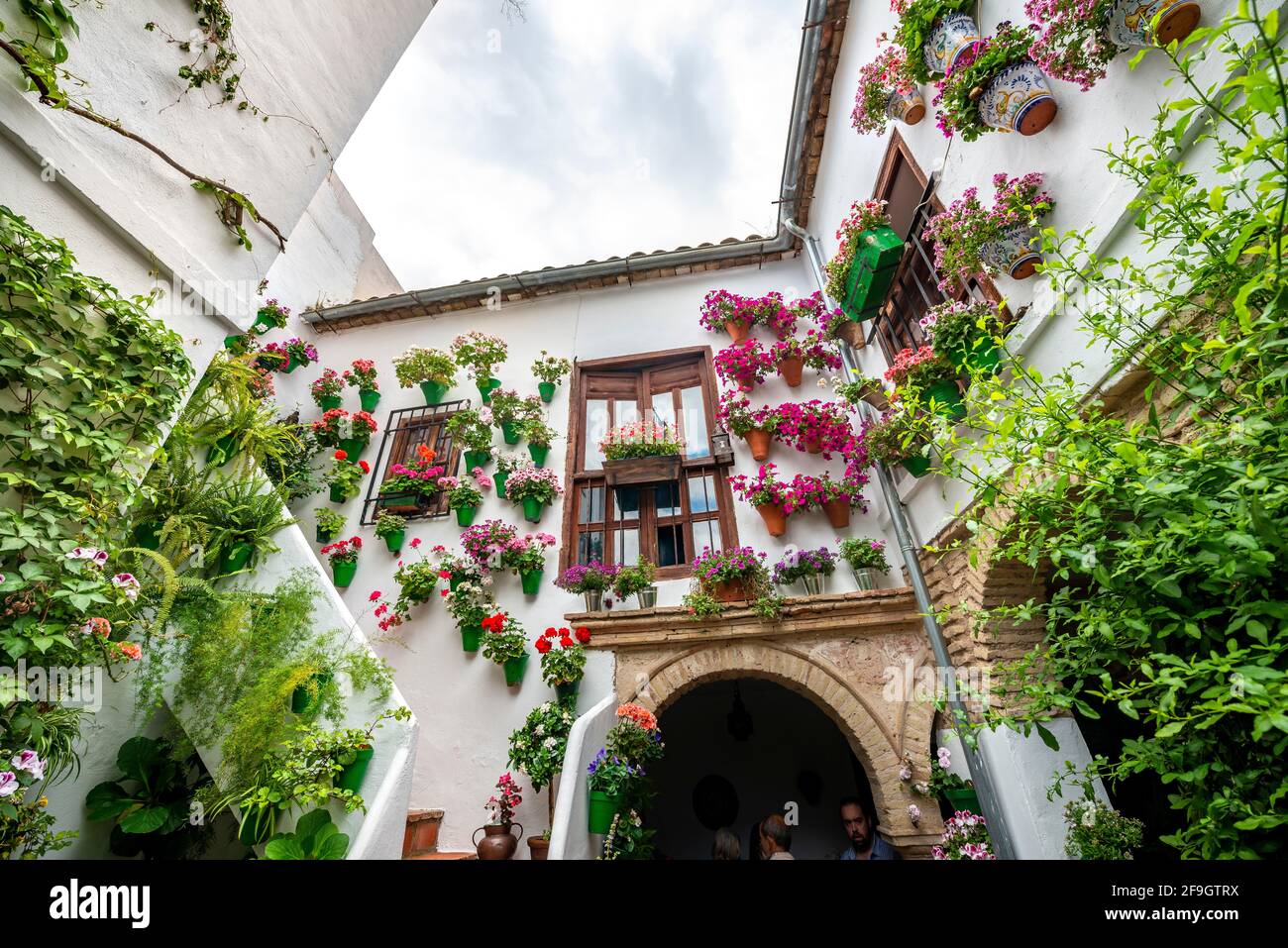 Macetas con flores rojas colgadas en una pared, patio interior decorado,  Fiesta de los Patios, Córdoba, Andalucía, España Fotografía de stock - Alamy