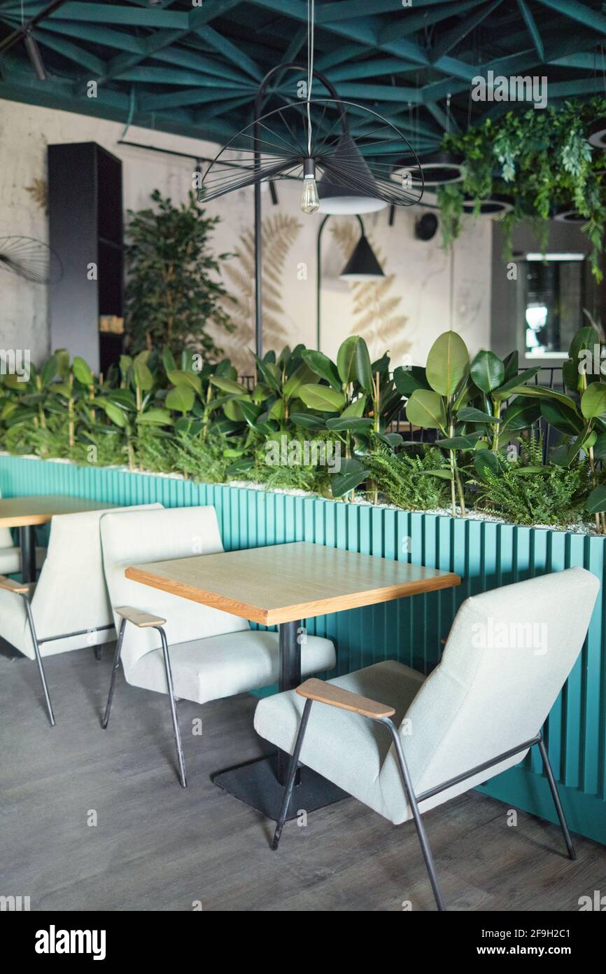 Imagen de fondo vertical del interior de la cafetería ecológica, centrada  en la acogedora zona de asientos con sillones y mesa decorados con plantas  verdes frescas, copia Fotografía de stock - Alamy