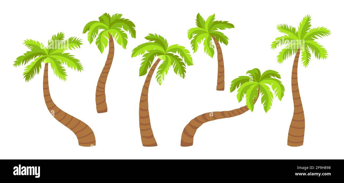 Juego de dibujos animados planos de palmeras de coco. Palmeras tropicales, elemento de diseño natural. Árbol dibujado a mano con hojas, plantas maduras y jóvenes de bosque tropical. Aislado en ilustración de Juego de dibujos animados planos de palmeras de coco. Palmeras tropicales, elemento de diseño natural. Árbol dibujado a mano con hojas, plantas maduras y jóvenes de bosque tropical. Aislado en ilustración de