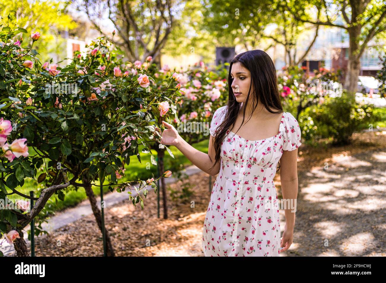 Hermosa Latina adolescente admirando las rosas en un jardín en la luz vestido de primavera Foto de stock