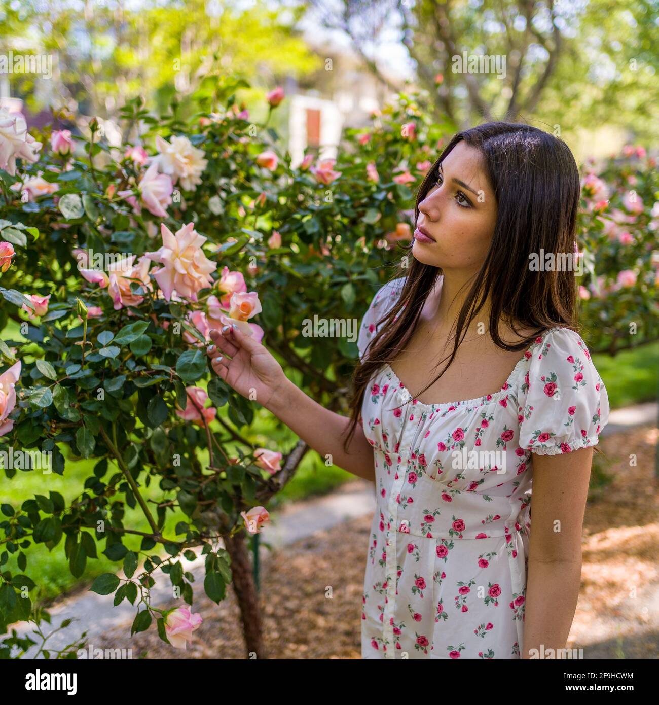 Hermosa Latina adolescente admirando las rosas en un jardín en la luz vestido de primavera Foto de stock