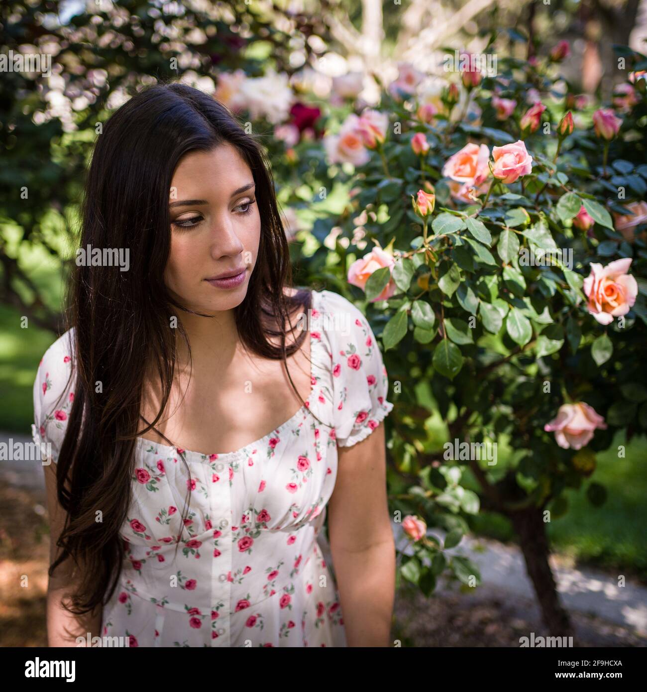 Hermosa Latina adolescente admirando las rosas en un jardín en la luz vestido de primavera Foto de stock