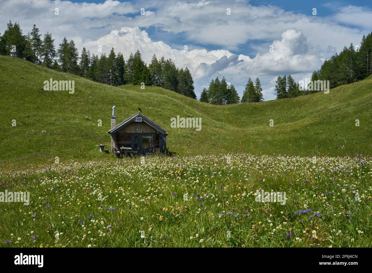 Sennerhütte inmitten von Almwiesen, Mussen, auf der Mussen, Blumenberg, Lesachtal, Gailtaler Alpen, Kärnten, Österreich Foto de stock