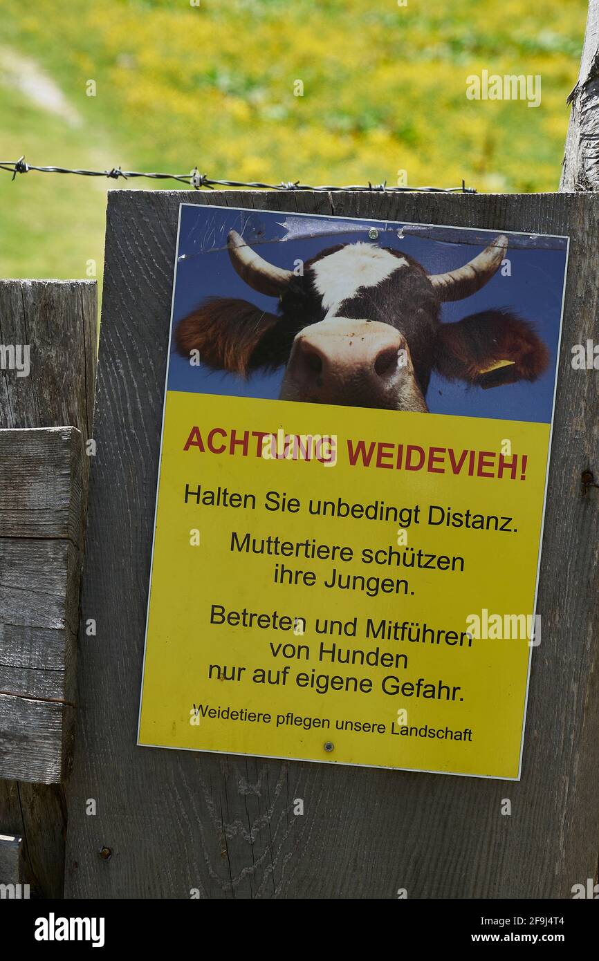 Warnung, Schild an Zaun, Achtung Weidevieh, Alm, Frohntal, Karnische Alpen, Kärnten, Österreich Foto de stock