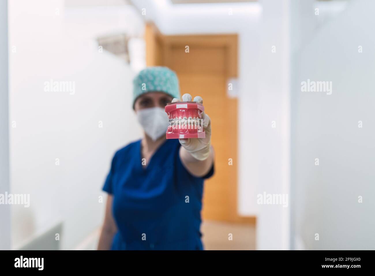 Doctor sosteniendo una dentadura con soportes Foto de stock