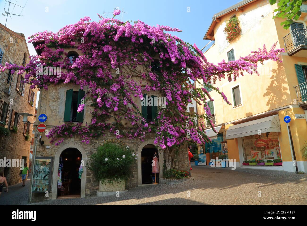 Sirmione, Lago de Garda. Flores moradas de buganvillas en la casa del casco antiguo. Lago di Garda, Gardasee, Italia Foto de stock