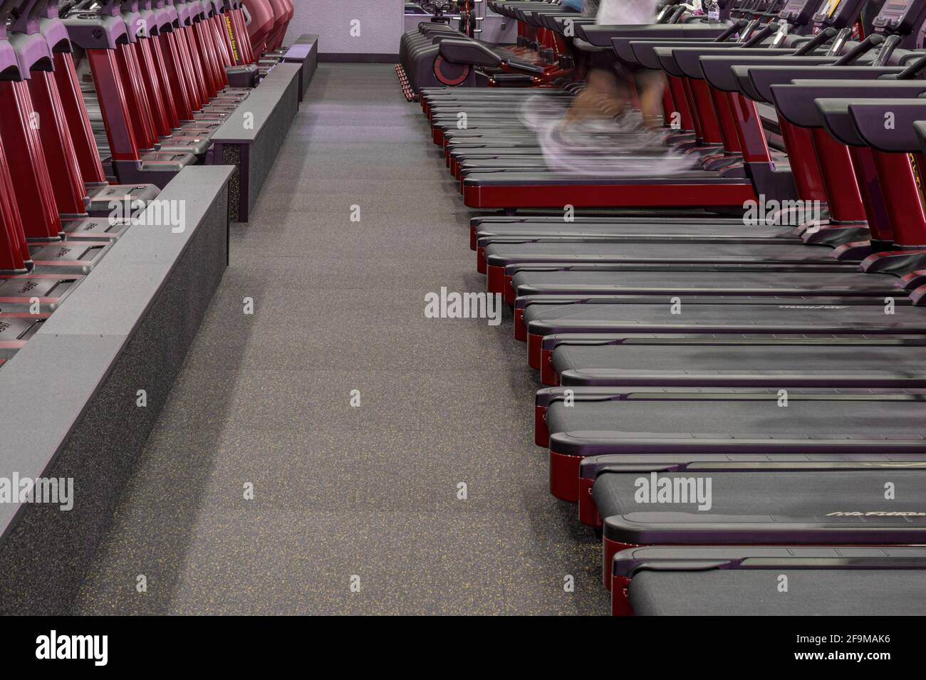 Hombre corriendo una línea borrosa de cintas de correr en el gimnasio, Estados Unidos Foto de stock