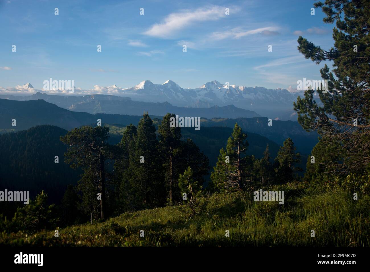 Eindrücklicher Blick auf die grossen 4000ER des Berner Oberlands vom Hohgant-Massiv Foto de stock