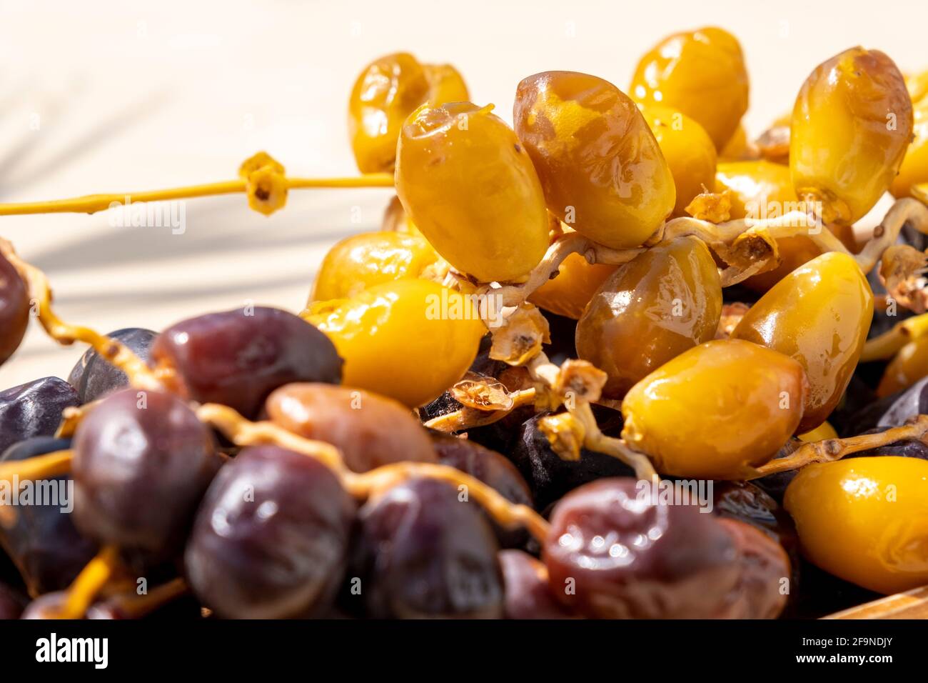 Santo concepto de ayuno del Ramadán Musulmán: Primer plano en muchos frutos de fecha marrón y amarillo. Antecedentes de comida vegana con espacio para copiar. Nadie. Aperitivo dulce Foto de stock