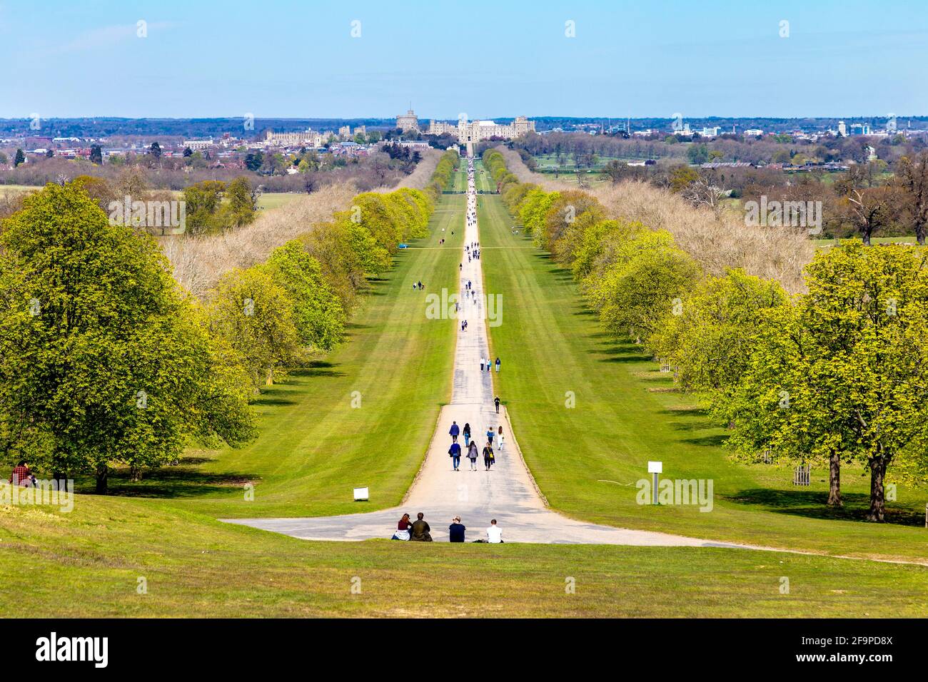 Vista de la caminata larga en Windsor Great Park desde Snow Hill que conduce a la residencia real del castillo medieval de Windsor del siglo 11th, Windsor, Berkshire Foto de stock