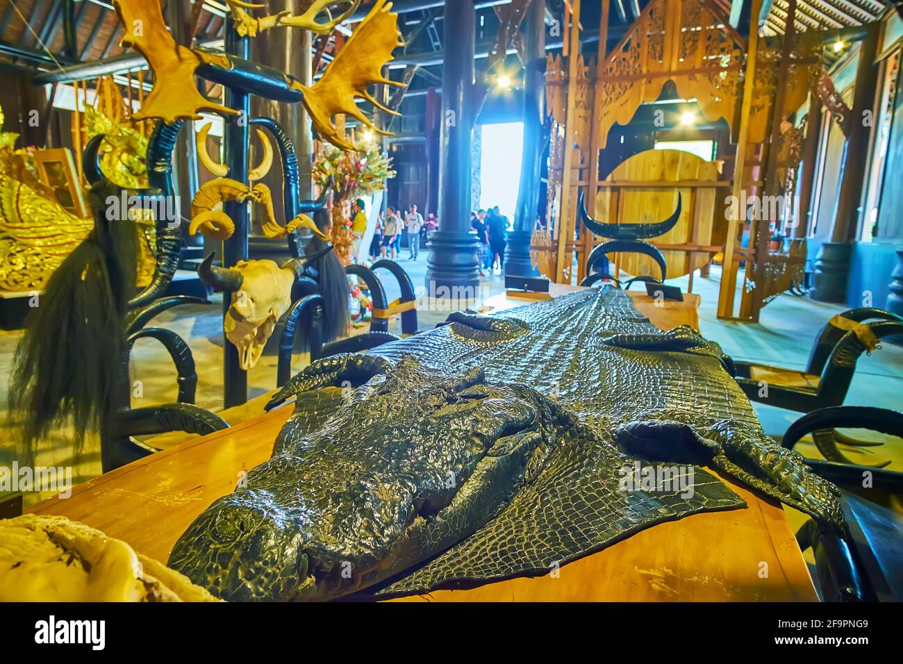 Museo de cocodrilos fotografías e imágenes de alta resolución - Página 2 -  Alamy