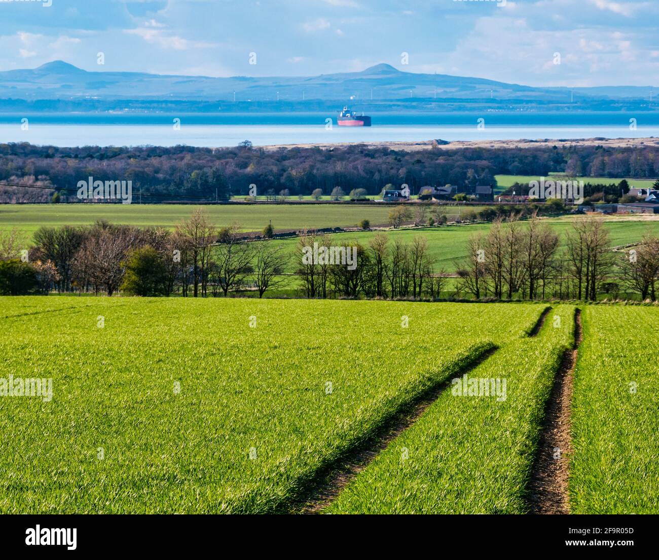Vista a través del campo de cultivo verde hasta Firth of Forth con buque cisterna anclado, East Lothian, Escocia, Reino Unido Foto de stock