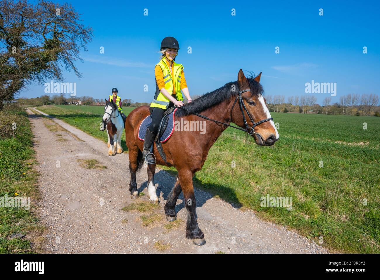 Mujeres jóvenes montando caballos en un camino rural a través del campo en un día soleado en primavera en West Sussex, Reino Unido. Paseo a caballo / jinetes. Foto de stock