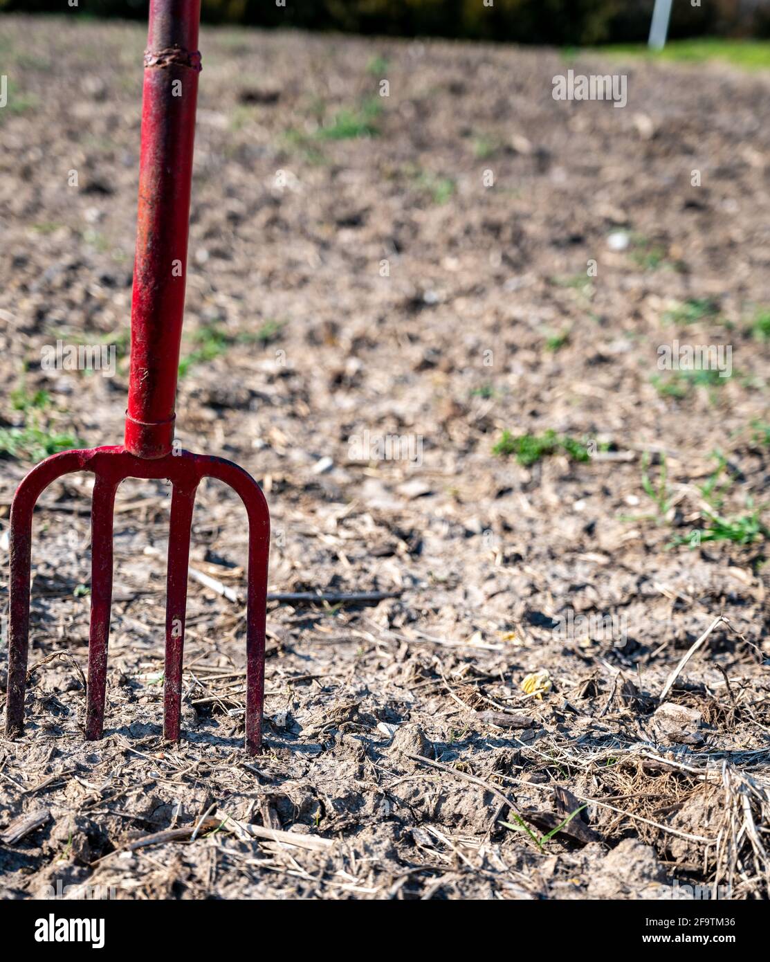 Jardín de suelo con enfoque en los dientes de un campo horquilla atascada  en la suciedad Fotografía de stock - Alamy