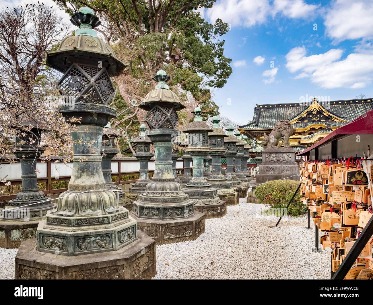 Linternas de bronce en el santuario sintoísta Ueno Toshogu en el parque Ueno Onshi, Tokio, Japón, en primavera. Foto de stock