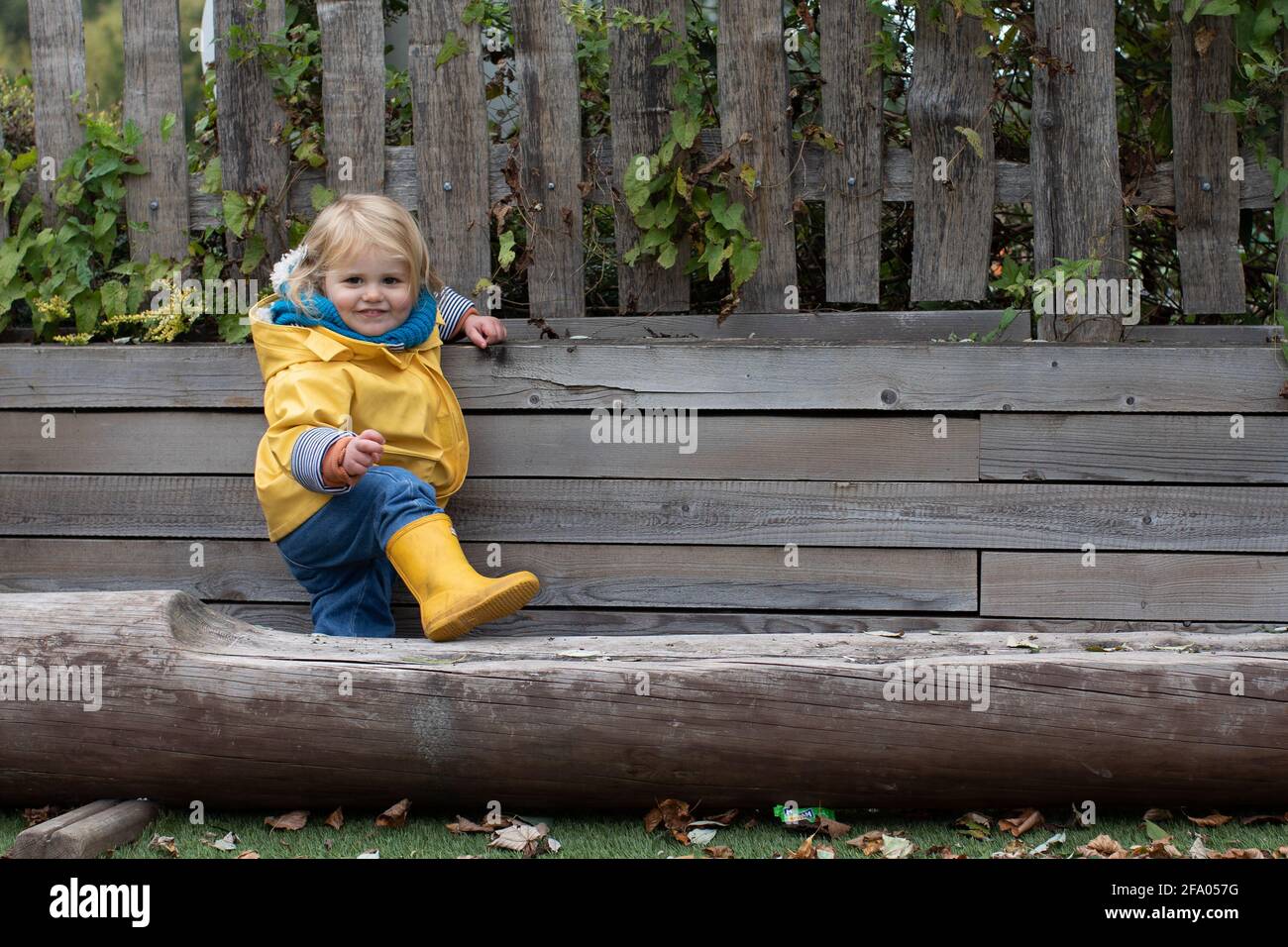 niña de 2 años de edad con botas de agua de color amarillo brillante y  chubasquero jugando en un tronco de árbol Fotografía de stock - Alamy