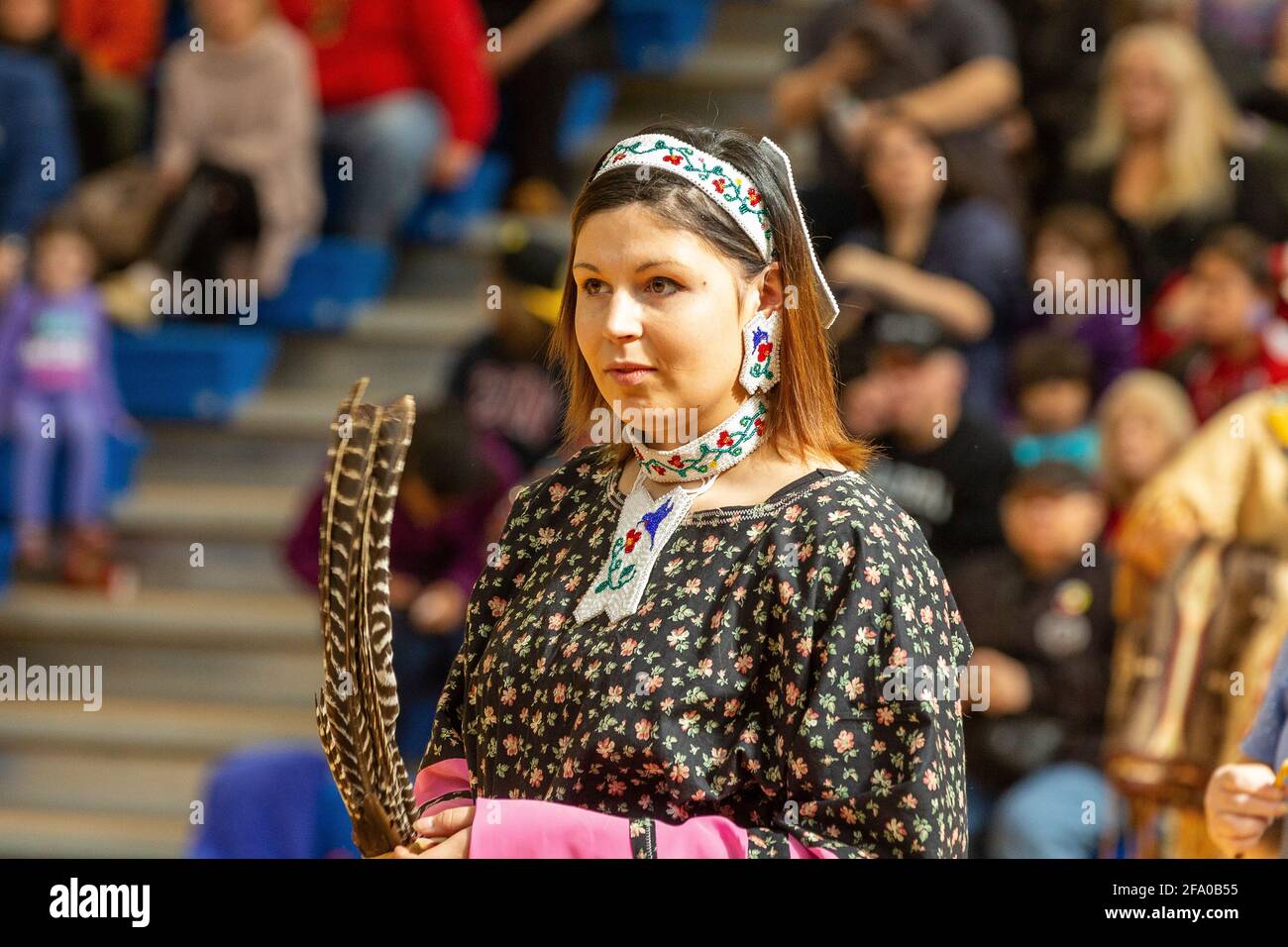 Celebración indígena de Pow Wow Foto de stock