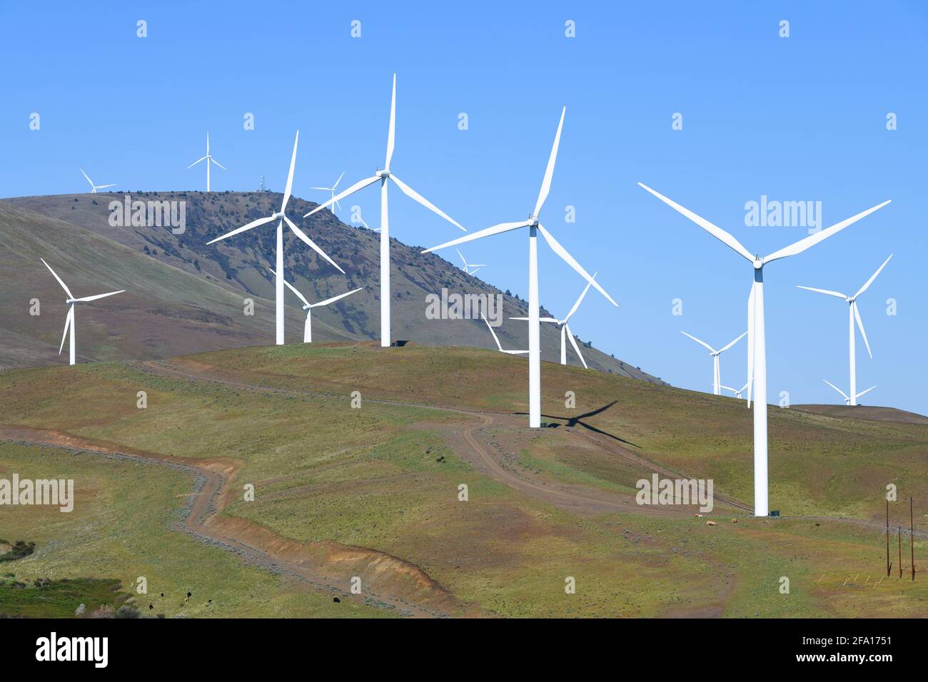 Windy Point y Flats Parque eólico de energía limpia en Washington Estado  adyacente al desfiladero de Columbia que actúa como una pieza De la  solución del cambio climático Fotografía de stock -