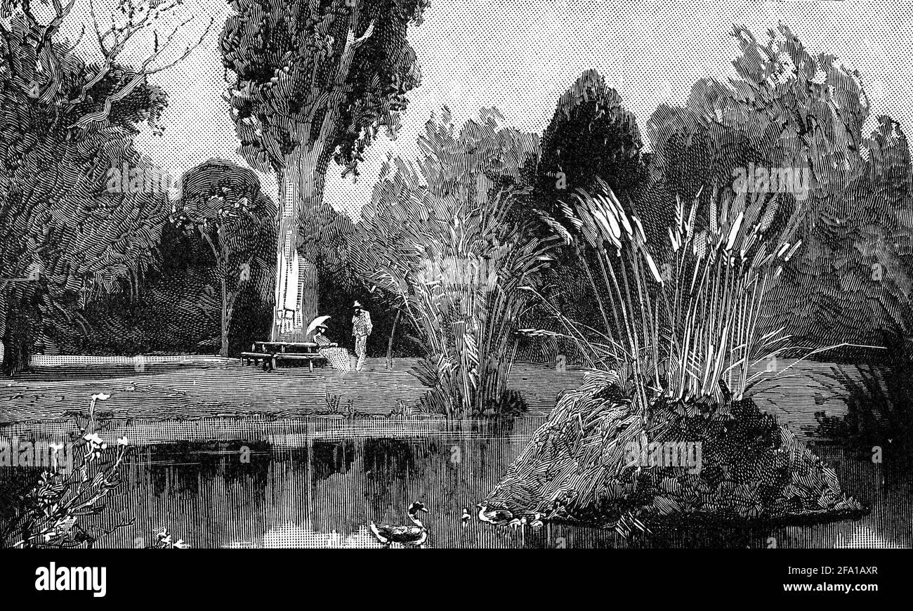 Grabado de los Jardines Botánicos en Adelaida, Australia Meridional durante el año 1880s Foto de stock