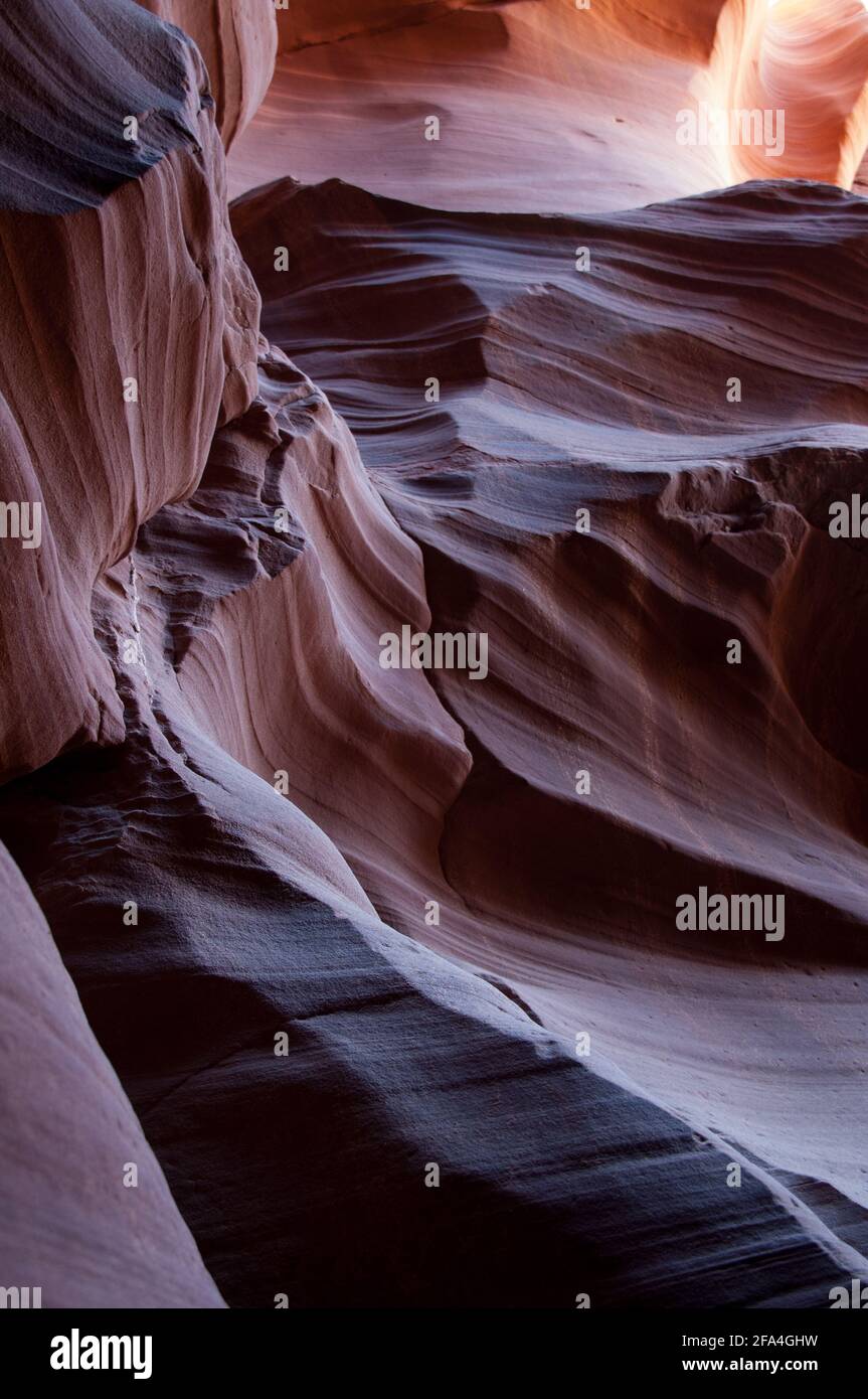 Cañón del Antelope o Cañón del antílope es un escenario Natural de la Nación Navajo en Page al norte de Arizona Se trata de un estorcho cañón que perm Foto de stock