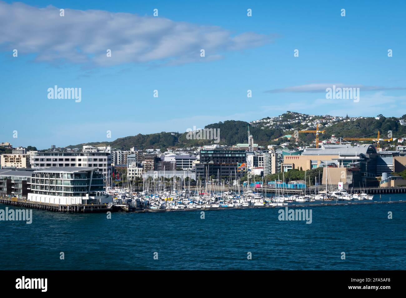Isla chaffers fotografías e imágenes de alta resolución - Alamy