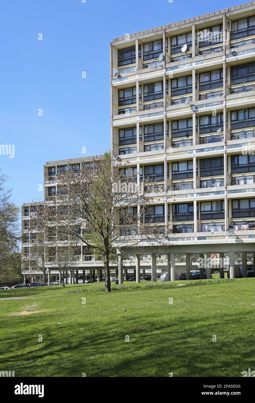 Alton East Estate en Roehampton, Londres, Reino Unido. Famoso esquema de viviendas modernistas de los años 50 inspirado en el Unite d'habitation de Le Corbsier Foto de stock