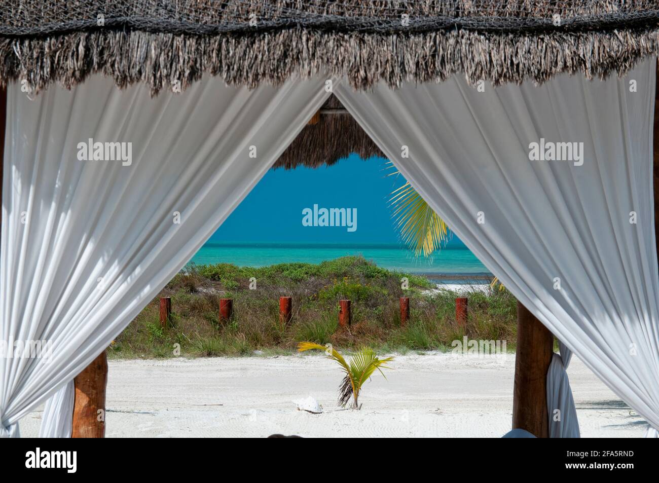 Un elegante cenador de madera con techo de paja y cortinas decorativas en  una playa tropical en la isla Holbox en México Fotografía de stock - Alamy