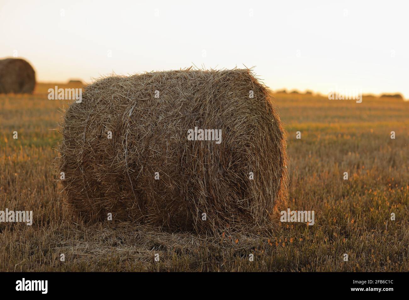 Los fardos de paja apiladas en el campo Fotografía de stock - Alamy