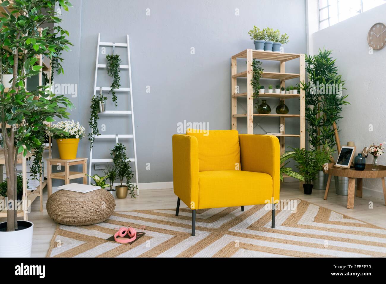 Plantas para tu hogar fotografías e imágenes de alta resolución Alamy