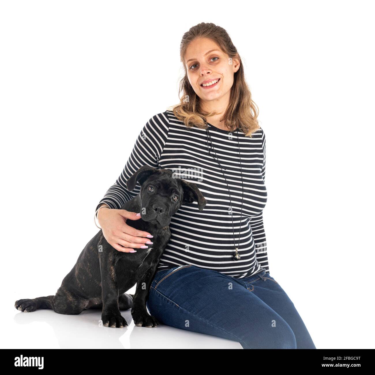 cachorro italiano mastiff y mujer delante de fondo blanco Foto de stock