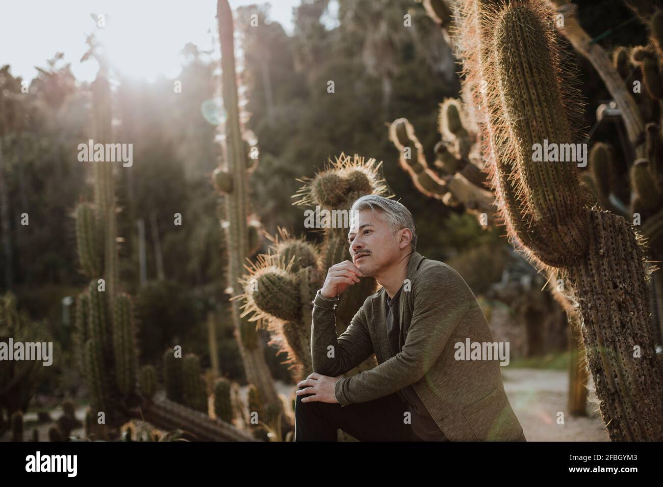 Hombre maduro sonriente con jardín de cactus en el fondo Foto de stock