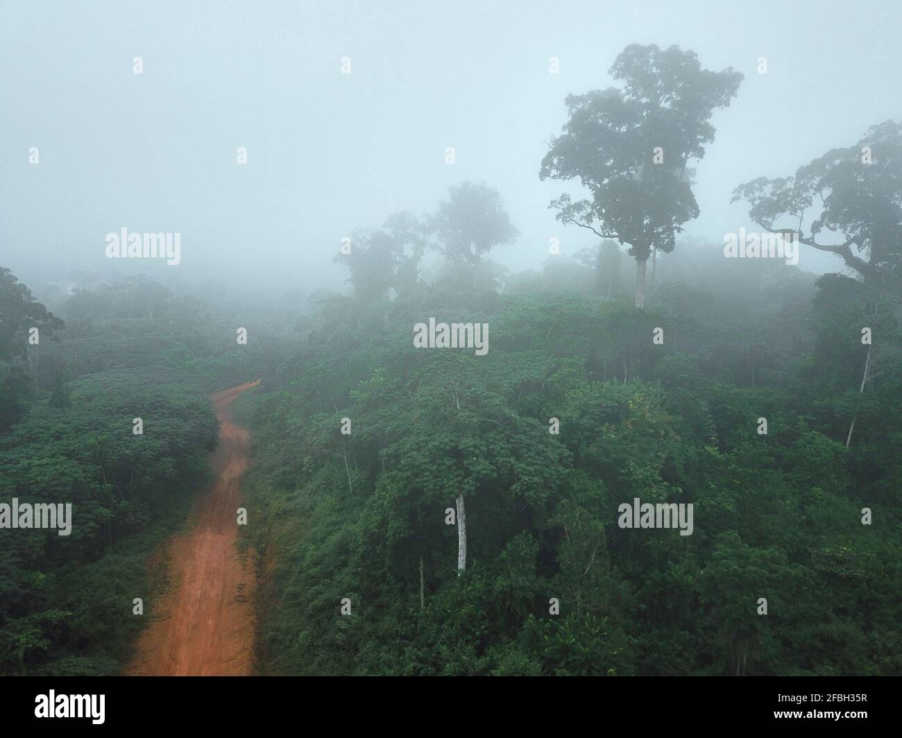 Gabón, Mikongo, Vista aérea de la carretera de tierra que atraviesa la selva brumosa Foto de stock