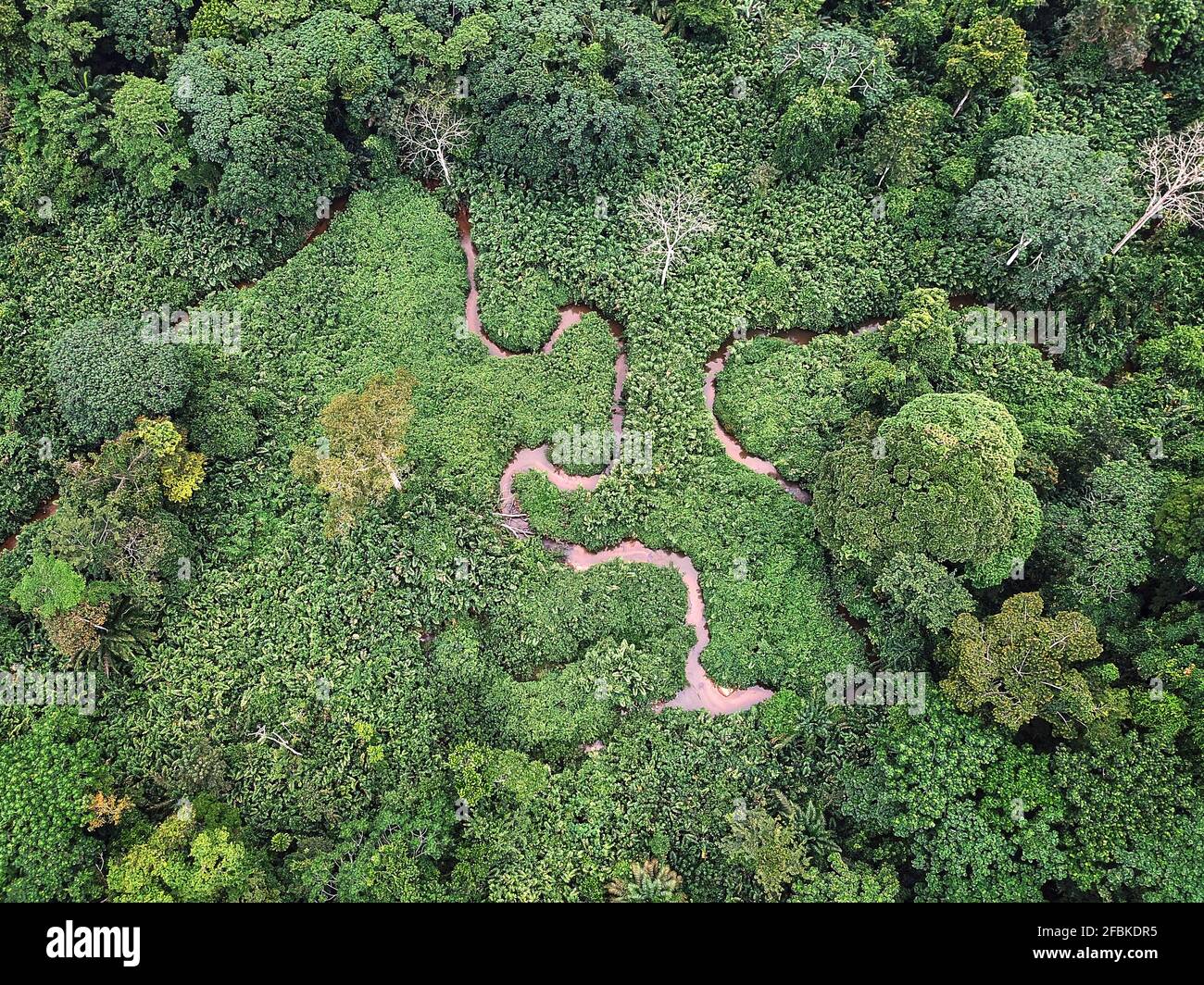 Gabón, Mikongo, Vista aérea del río serpenteante en la exuberante selva verde Foto de stock
