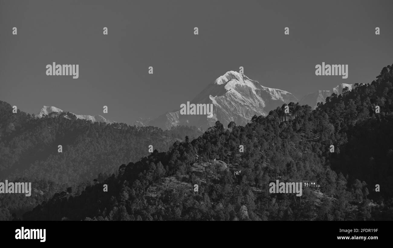 Una vista de la cima de la montaña Trisul en el Himalaya rango y colinas con árboles en primer plano en monocromo Foto de stock