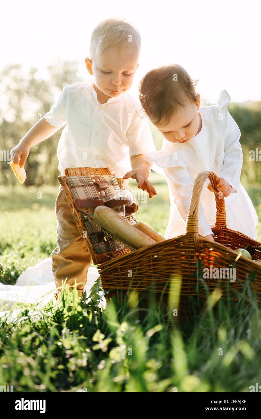 Los niños pequeños están buscando comida en una cesta de picnic de mimbre en el césped. Foto de stock