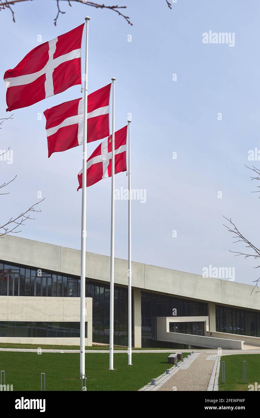 Tiro vertical de banderas danesas en postes cerca de la Moesgaard Museo en Arhus Foto de stock