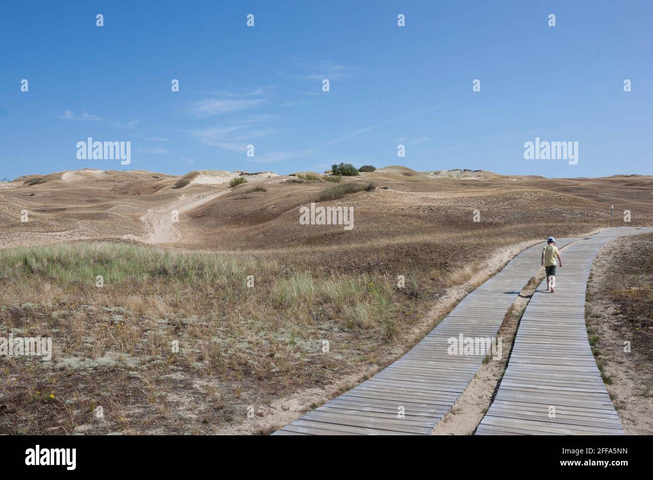 Una sola figura está yendo lejos en el fondo de las dunas de arena. Paisaje con colinas de arena y un camino de madera estirado en la distancia Foto de stock