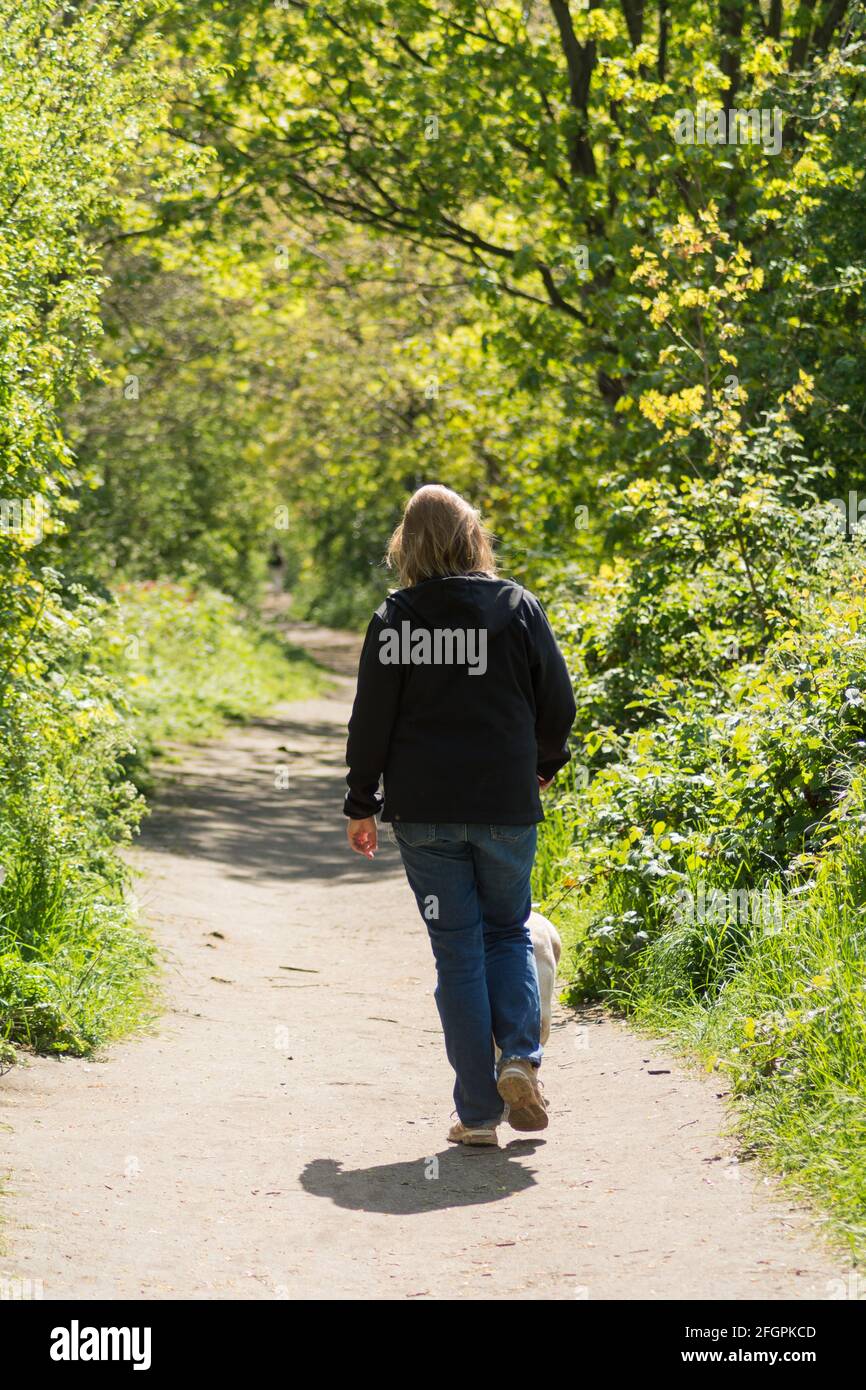 Una mujer solitaria caminando con su perro en el camino de sirga al lado del río Támesis en el suroeste de Londres, Inglaterra, Reino Unido Foto de stock